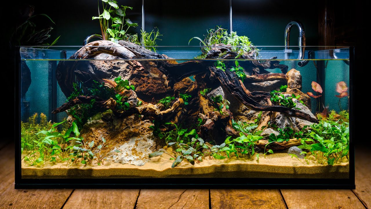 The Essentials of Designing a Beautiful Nano Aquarium post thumbnail image